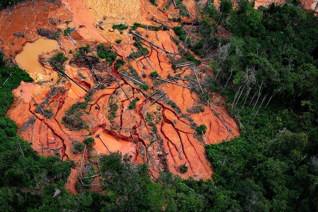 Amazon Illegal Mining Detection